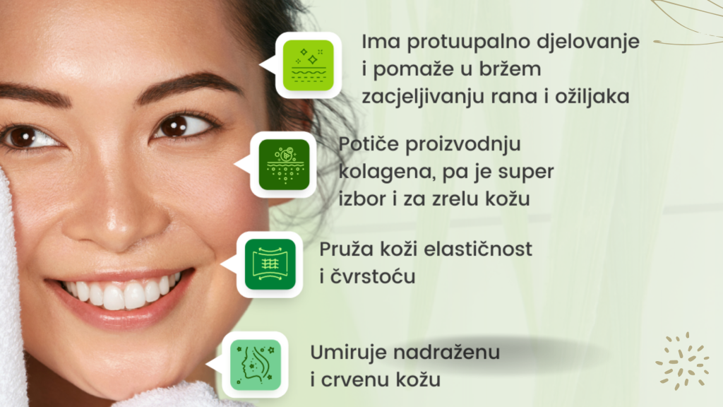 Centella Asiatica benefiti