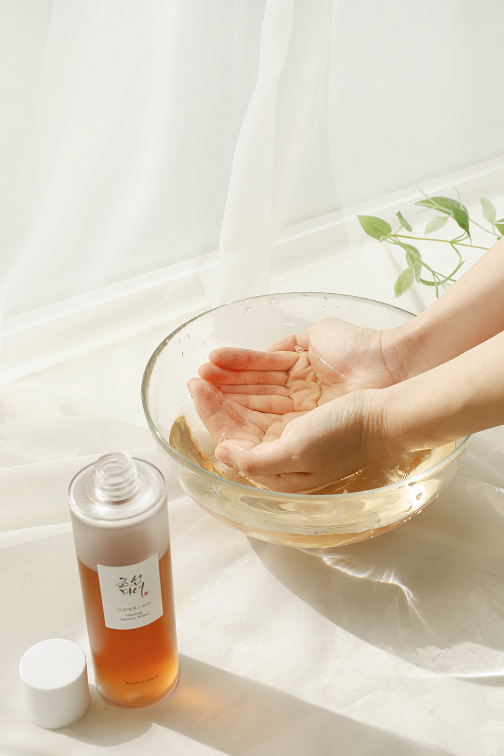 Ginseng-essence-water_1 1