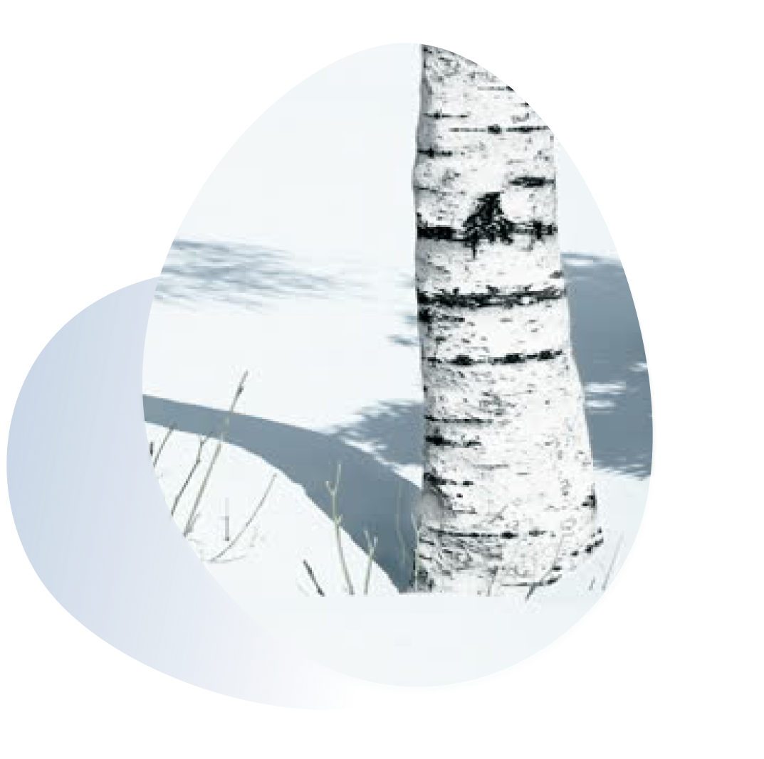 inje_2